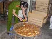 Bóng đá anh, ngoại hạng anh, lịch thi đấu euro 2012, Có hơn 6.000 cơ sở sản xuất bánh trung thu vi phạm